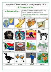 English Worksheet: ENGLISH WORDS OF FOREIGN ORIGIN 