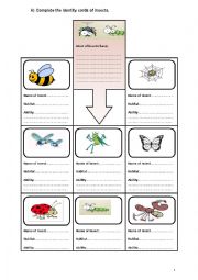English Worksheet: insects 2
