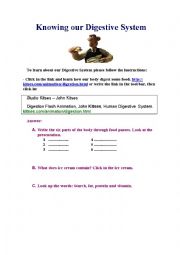 English Worksheet: digestive system