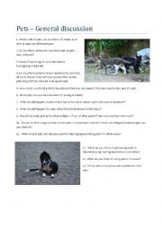 English Worksheet: Pets. A general discussion