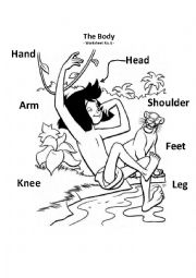 English Worksheet: The Body