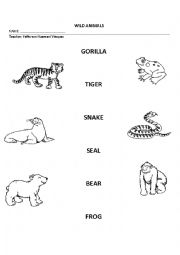 English Worksheet: wild animals