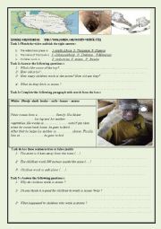 English Worksheet: CHILD LABOUR LISTENING COMPREHENSION 