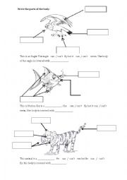 English Worksheet: animal body parts