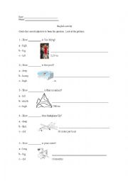 Measurement activity how+adjective