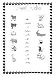 English Worksheet: Wild animals - matching