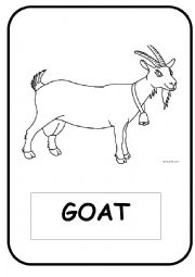 English Worksheet: Domestic Animals Flash-cards (Black and White)