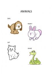 English Worksheet: ANIMALS