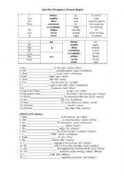 Adverbs of frequency