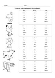 English Worksheet: Male, Female and Baby Animals