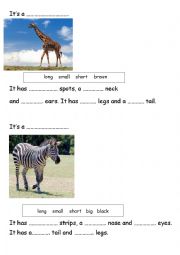 English Worksheet: describing animals