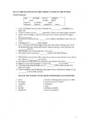 English Worksheet: Vocabulary