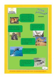 English Worksheet: Wild Animlas