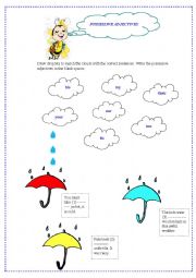 English Worksheet: possessive adjectives