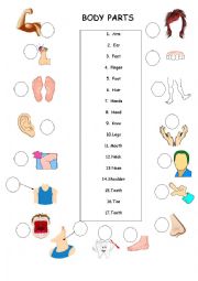 English Worksheet: parts of the body