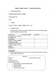English Worksheet: Trinity College Grade 4  School life and work