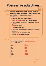 English Worksheet: Possessive adjectives