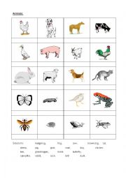 English Worksheet: Animals