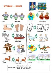 English Worksheet: basic irregular plurals