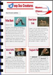 English Worksheet: Deep Sea Creatures