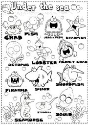 English Worksheet: sea animals