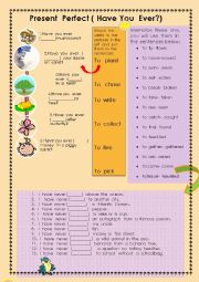 English Worksheet: Present Perfect(Hve You Ever?)