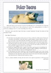 Polar Bears -Nice reading comprehension 