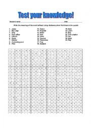 English Worksheet: vocabulary 