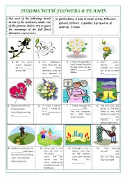 English Worksheet: IDIOMS with FLOWERS & PLANTS (plus key and explanations)