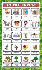 English Worksheet: IN THE FOREST 1