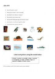 English Worksheet: Life of Pi the film
