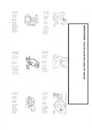 Pets Worksheet