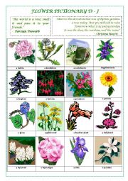 English Worksheet: FLOWERS PICTIONARY D- J (part II)