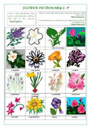 English Worksheet: FLOWERS PICTIONARY L- P (part III)