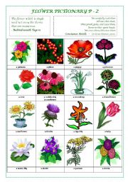 English Worksheet: FLOWERS PICTIONARY P - Z (part IV)