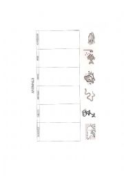 English Worksheet: Classifying animals