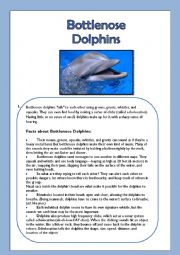 Bottlenose Dolphins- Reading Comprehension