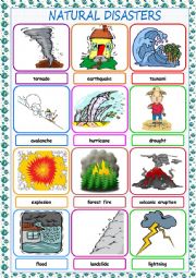 English Worksheet: Natural Disasters Picture Dictionary