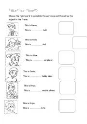 English Worksheet: His or her