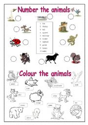 English Worksheet: Animals