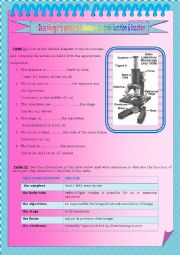 English Worksheet: the microscope