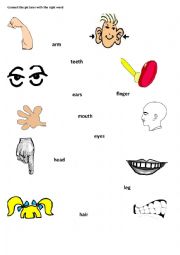 English Worksheet: Body parts