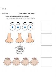 body parts worksheet