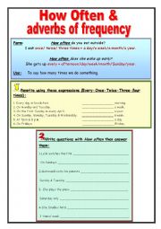 How Often & adverbs of frequency