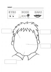 English Worksheet: Face