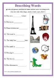 English Worksheet: Describing Words