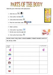 English Worksheet: Parts of the body