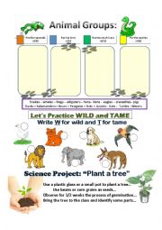 English Worksheet: Wild or Tame animals