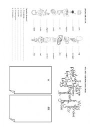 English Worksheet: A / AN