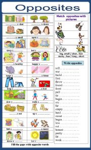 English Worksheet: opposites